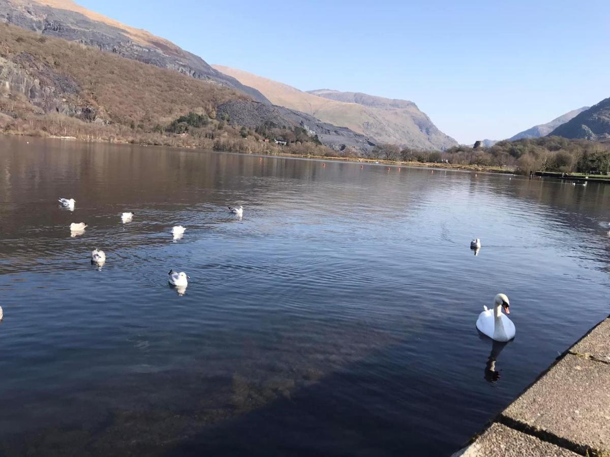Llanberis Lodges Exterior foto